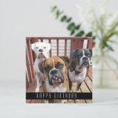 Faire-part Ajouter votre photo | Joyeux Anniversaire De Chien (Debout devant)