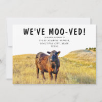 Amusant, nous avons Moov-ed Cow Moving Annouement