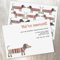 Annonce de déménagement Fun Dachsund Dog
