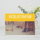 Faire-part Annonce de départ (Homme et chiens dans la rue) (Debout devant)