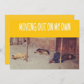 Faire-part Annonce de départ (Homme et chiens dans la rue) (Devant / Derrière)