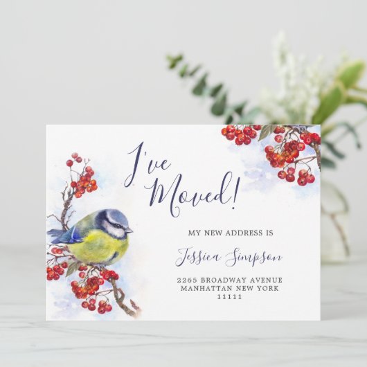 Faire-part Aquarelle Hiver Redberry Tit Bird Moving (Debout devant)