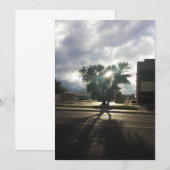 Faire-part Arborescence urbaine (Devant / Derrière)