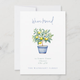 Faire-part Arbre à citron pointé Nous avons déplacé une nouve