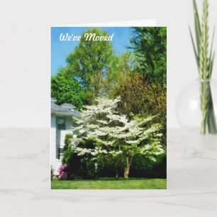 Faire-part Arbres à fleurs blanches