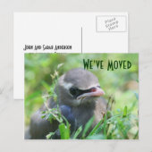 Faire-part Baby Bird Nouvelle adresse Carte postale Nature (Devant / Derrière)