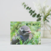 Faire-part Baby Bird Nouvelle adresse Carte postale Nature (Debout devant)