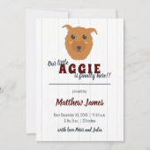 Faire-part Baby Boy Chien Maroon Baby (Devant)