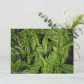 Faire-part Basil Fine Art (Debout devant)