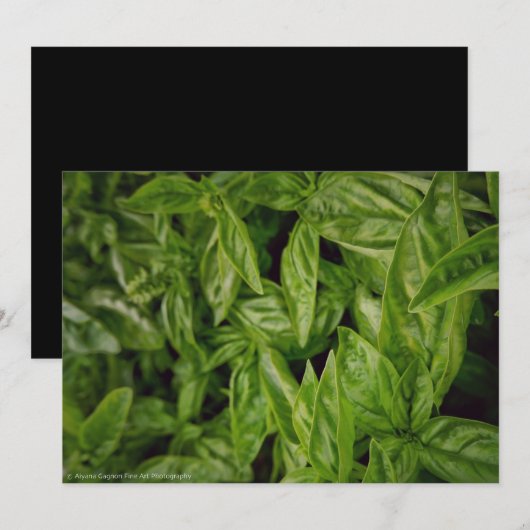 Faire-part Basil Fine Art (Devant / Derrière)