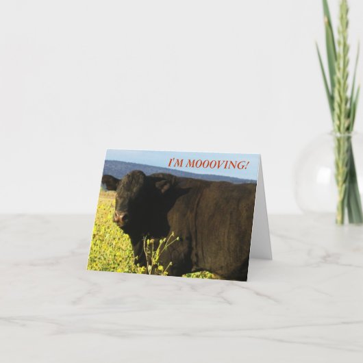 Faire-part Black Bull en fleurs - Changement d'adresse de l'O (Devant)