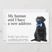 Faire-part Black Lab Chien Moving (Devant)