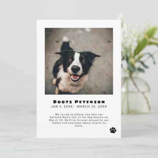 Faire-part Black Pawprint Pet Perte d'animal de compagnie Fai (Debout devant)