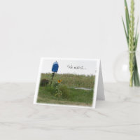 Boîte aux lettres et tournesol que nous avons dépl