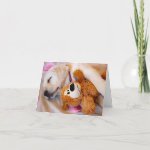 Faire-part Bouddles de chiots