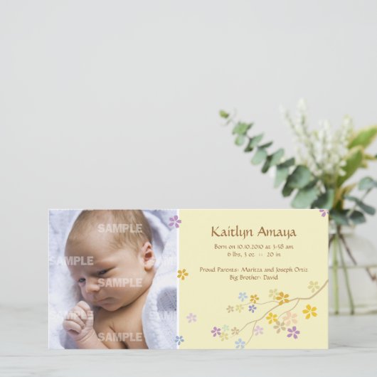 Faire-part Branche d'approche bébé (citron) (Debout devant)