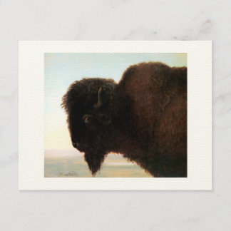 Faire-part Buffalo Head Art Albert Bierstadt peinture de biso