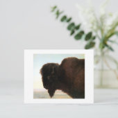 Faire-part Buffalo Head Art Albert Bierstadt peinture de biso (Debout devant)