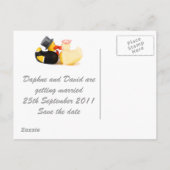 Faire-part canards mariages ... Carte postale (Dos)