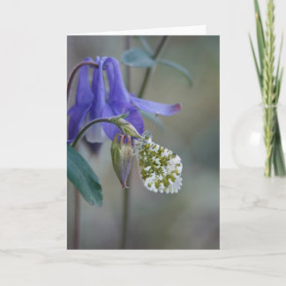 Faire-part Carnet de voeux de Purple Granny/Columbine