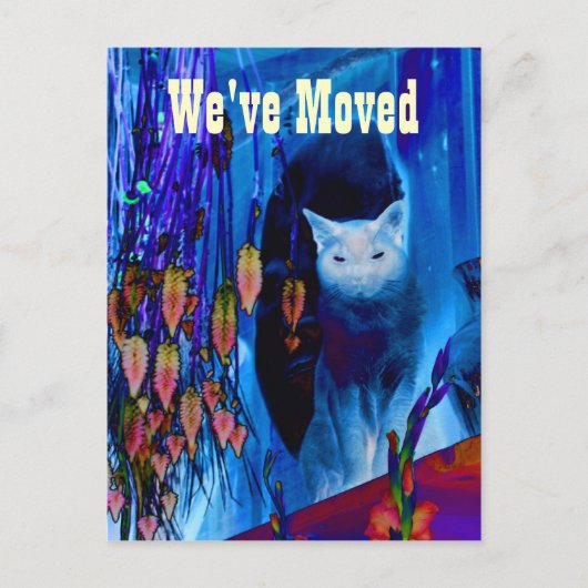 Faire-part Carte postale Blue Siamese Chat Moving New Address (Devant)