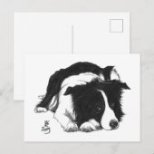 Faire-part Carte postale Border Collie Doggust 2019 (Devant / Derrière)