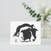 Faire-part Carte postale Border Collie Doggust 2019 (Debout devant)