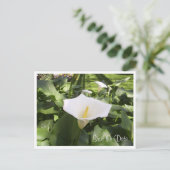 Faire-part Carte postale calla-lily (Debout devant)