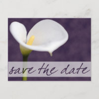 Carte postale d'annonce de Calla Lily