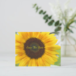 Faire-part Carte postale d'annonce de date de tournesol