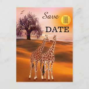Faire-part Carte postale d'annonce de mariage Zoo Safari Gira