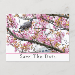 Faire-part Carte postale d'annonce de sauvegarde de date
