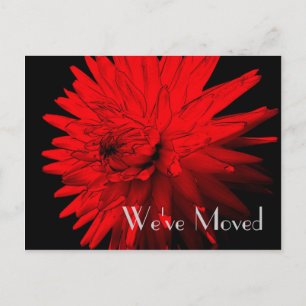 Faire-part Carte postale d'art floral Dahlia Nouvelle Adresse