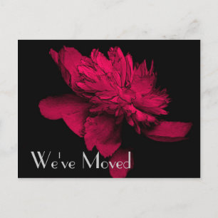 Faire-part Carte postale d'art floral de pivoine rouge brûlan