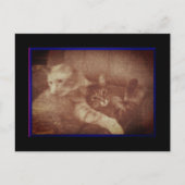 Faire-part Carte postale de chatons câlins (Devant)