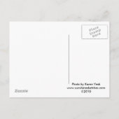 Faire-part Carte postale de figurine de gâteau de mariage vin (Dos)