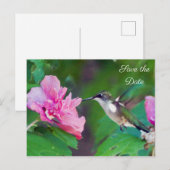 Faire-part Carte postale de mise en garde Colibri à gorge rub (Devant / Derrière)