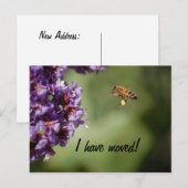 Faire-part Carte postale de nouvelle adresse (Devant / Derrière)