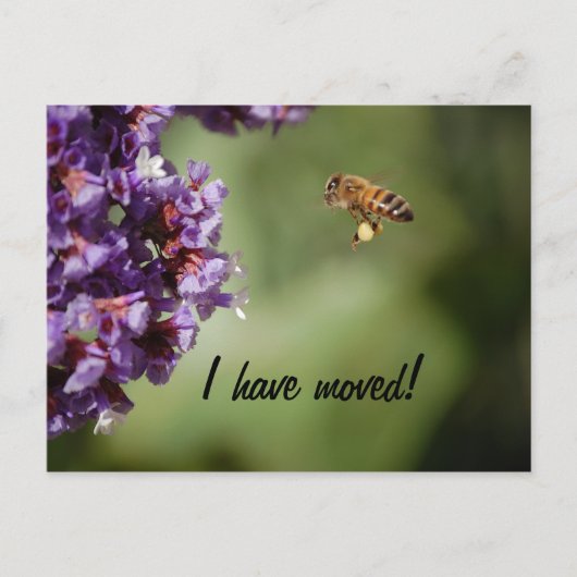 Faire-part Carte postale de nouvelle adresse (Devant)