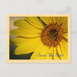 Faire-part Carte postale de sauvegarde de date de tournesol