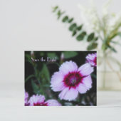 Faire-part Carte postale de sauvegarde de la date de célébrat (Debout devant)