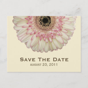 Faire-part Carte postale de sauvegarde de mariage Gerbera Dai