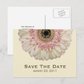 Faire-part Carte postale de sauvegarde de mariage Gerbera Dai (Devant / Derrière)