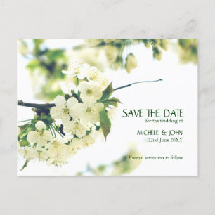 Faire-part Carte postale Fleur de Cerisier Blanc Enregistrer