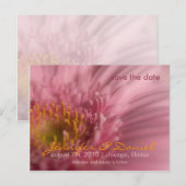 Faire-part Carte postale Gerbera rose • Save the Date (Devant / Derrière)