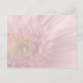Faire-part Carte postale Gerbera rose • Save the Date (Dos)