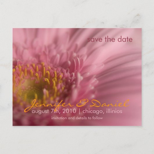 Faire-part Carte postale Gerbera rose • Save the Date (Devant)