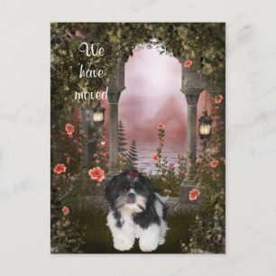 Faire-part Carte postale "Nous avons déménagé" Shih Tzu