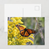 Faire-part Carte postale papillon monarque à la date à reteni (Devant / Derrière)