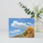 Faire-part Carte postale - Portrait de lion (Debout devant)